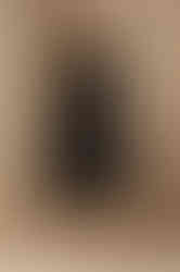 GARBO COAT - black classy Cape Coat