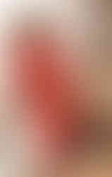 The AUDRAY Dress – coral sheath dress with 3/4 sleeves with adjustable neckline