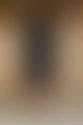 GINGER navy blue fitted midi sheath dress with 3/4 sleeves