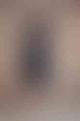 LAUREN - navy blue fitted sheath dress