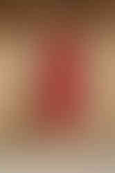 The AUDRAY red fitted sheath dress elegant holiday dress with 3/4 sleeves