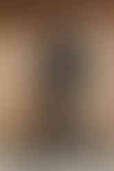 JYL black designer floral pattern woman pantsuit work attire