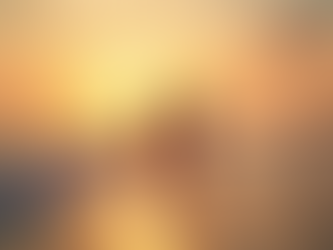 Les services photographie Delphine Burton