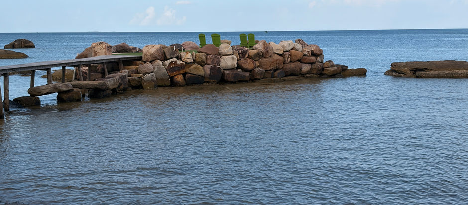 The State of Our Reefs: Why Phu Quoc’s Coral Needs Us Now