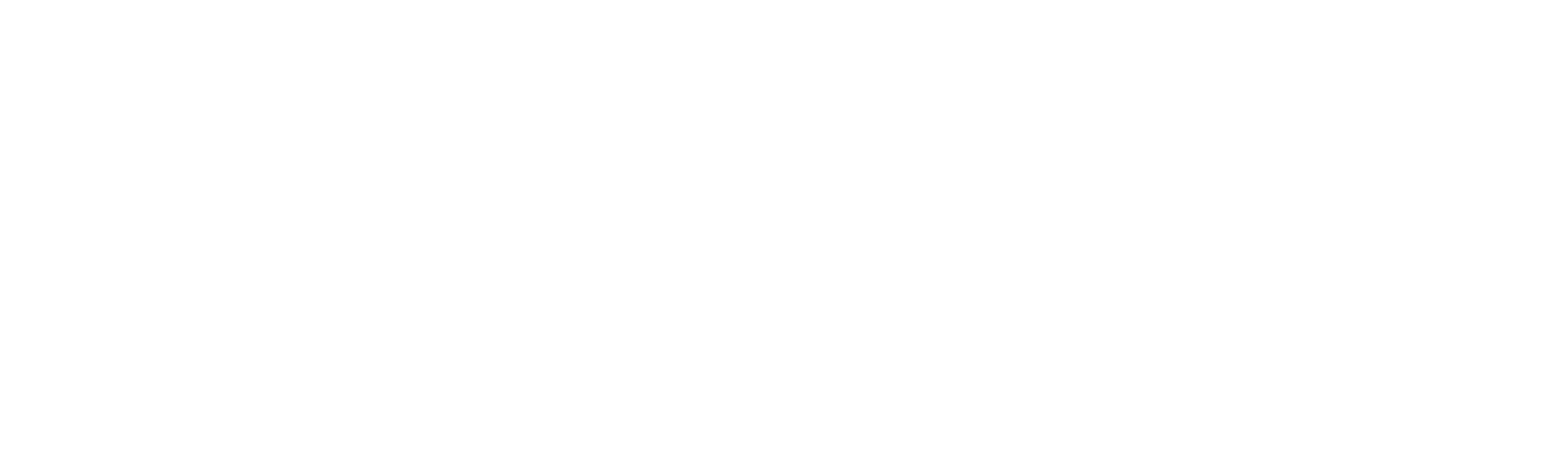 CTS_LOGO_WHITE.png
