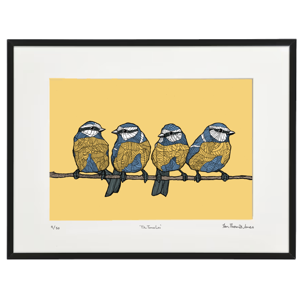 Titw Tomos Las / Blue Tits