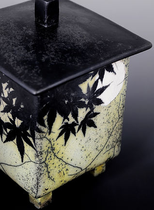 Salt Firing Box