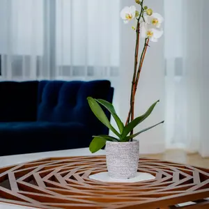 UWS Apartment 