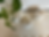 Thumbnail: Demi/ Flora