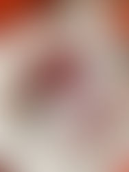 El chile hospitalario con @DoñaInés