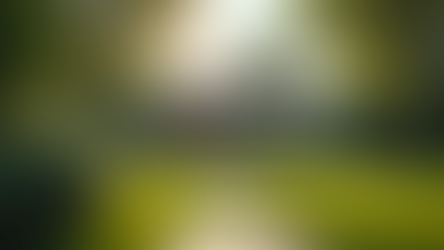 Essential Guide to Buying Rental Properties