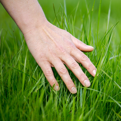 Touch Grass: How a Gaming Insult Accidentally Became the Best Mental Health Advice