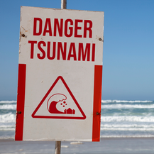 The Seismic Connection: How Underwater Earthquakes Generate Tsunamis