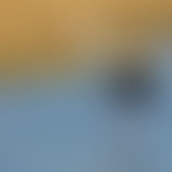 Technology Meets Wildlife: The Stork That Walks Again