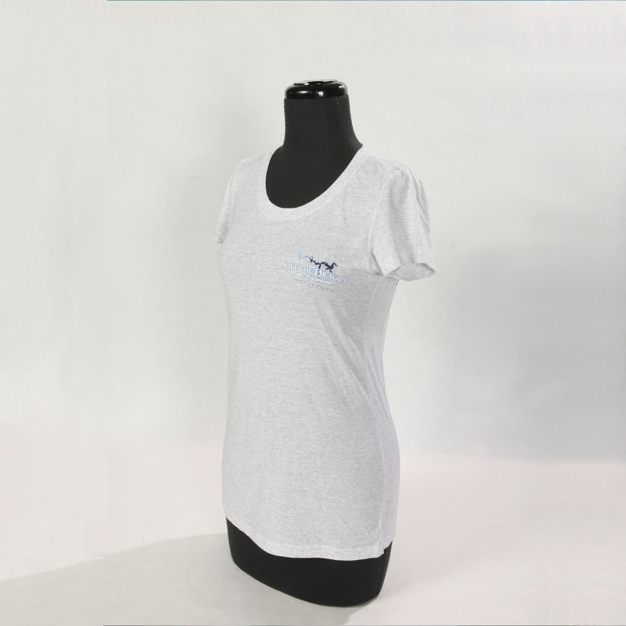 Women's V Neck T-Shirt