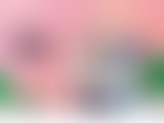 ¡La segunda versión del Festival de Animación Comfama ya está aquí!