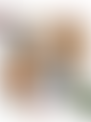 Moodboard for en helhetlig stil og interiør