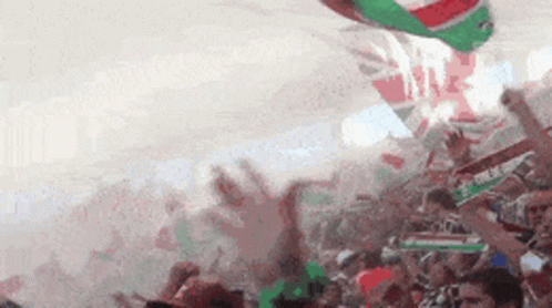 fluminense-torcida.gif