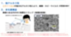 抗ウイルス・抗菌シート 機能・効果 2.png