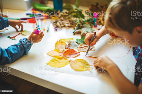 istockphoto-1168454133-1024x1024.jpg