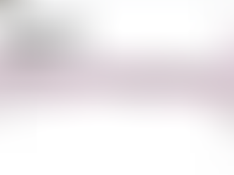 Cassandra Jones Presented at Uncommon Senses V