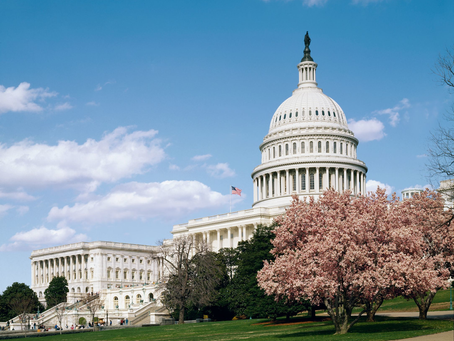 The Politics of Architecture