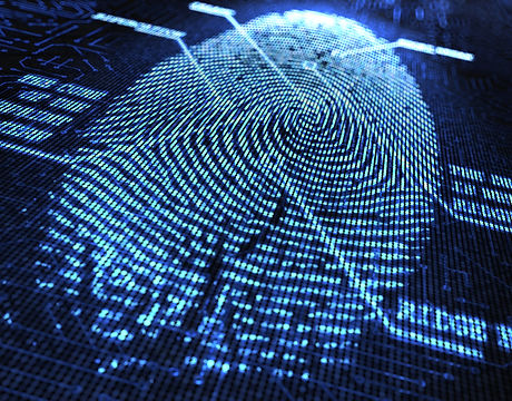 fingerprint.jpg