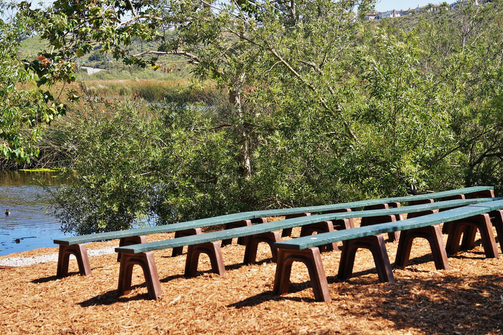 Ballona Freshwater Marsh