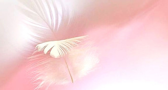 4f56f2dce90b798b30c24ca2a49d901e_edited_