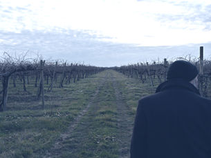 Cantina Terre Grosse: biologico, SI-PUO'-FARE!