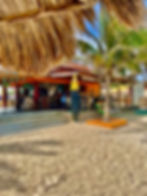 IMG_6505.jpeg