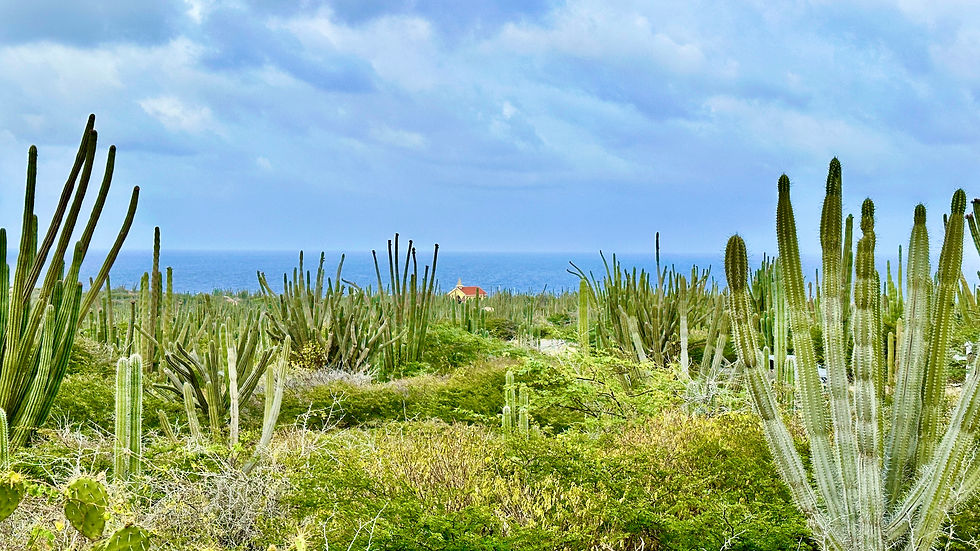 Views of the Alto Vista Chapel