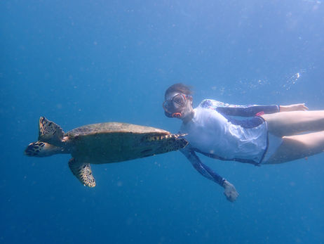 Swim with the turtles at Villa Selalu, Gili Gede, Indonesia