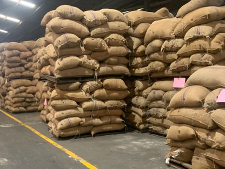 Cocoa Supplier