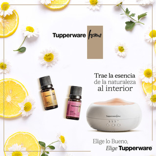 Tupperware® se expande para dar soluciones a todos tus espacios
