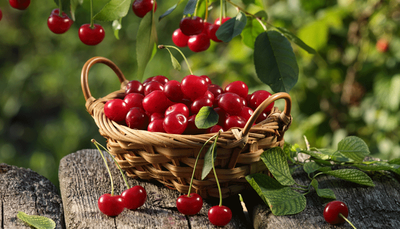 Cerezas de Verano en México ¡Bienvenido verano rojo!