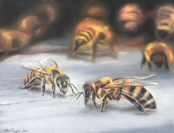 pastel bees