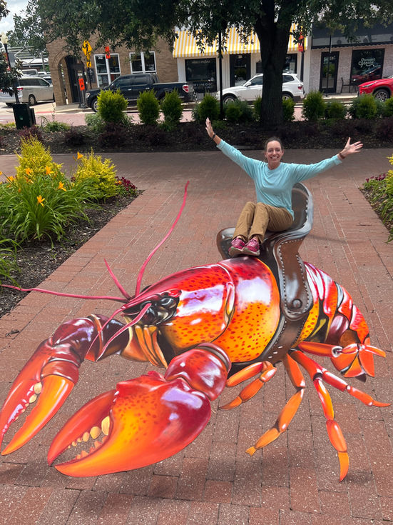 3D image of a crawfish with a saddle