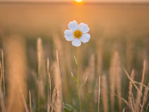 My Journey with Infertility: The Hard Truths No One Talks About
