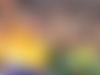 Em ato na Paulista, Bolsonaro nega tentativa de golpe e pede anistia a presos do 08 de Janeiro