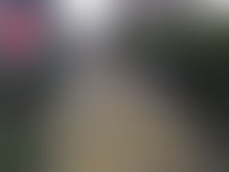 Com Flávio, Caiado e Zema, direita tenta mostrar unidade em ato contra Lula, Moraes e Toffoli