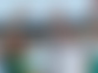 Michelle decide não fazer campanha para Flávio Bolsonaro