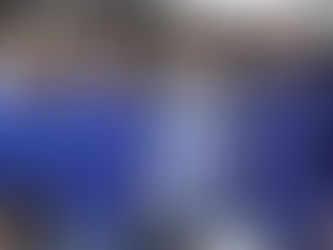 Possibilidade de chapa Alessandra Vieira e Ernando Silvestre começa a ser avaliada