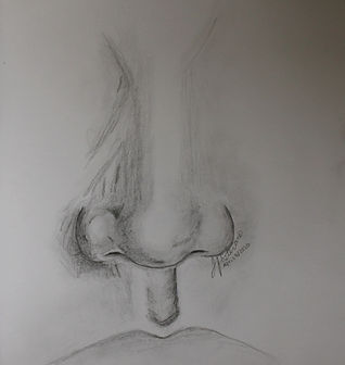 Nose%20Study_edited.jpg