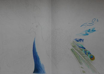 Braided%20Drawing%2010_edited.jpg