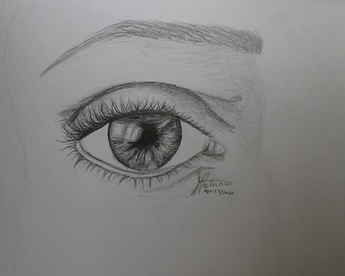 Eye%20Study_edited.jpg
