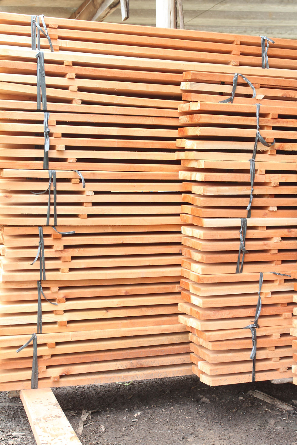 dzk_fotos_serraria_2025 (8 de 147)