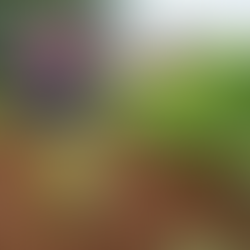 Eliminating Food Insecurity in Tanzania: How You Can Help