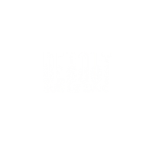 LOGO DSLZ_edited.png