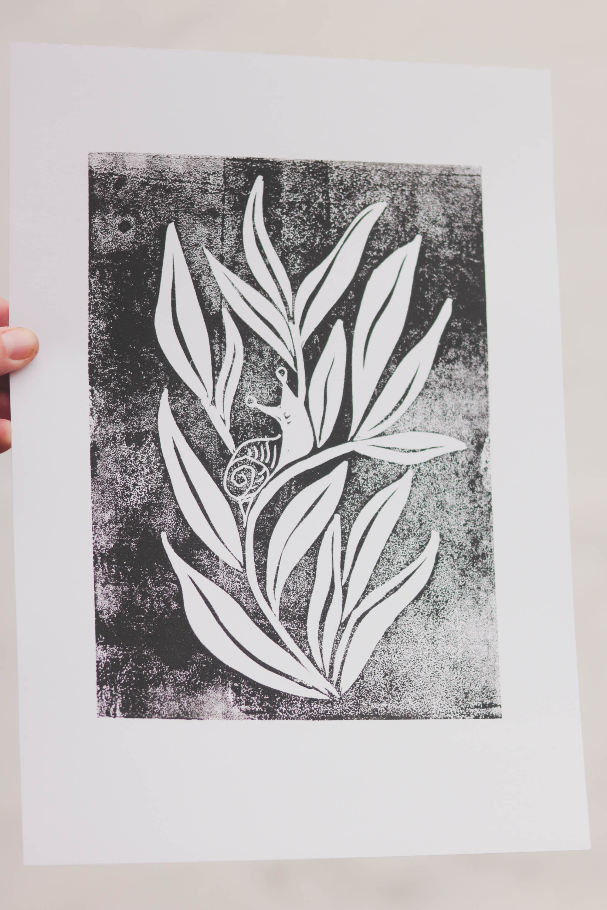 Csigás Print